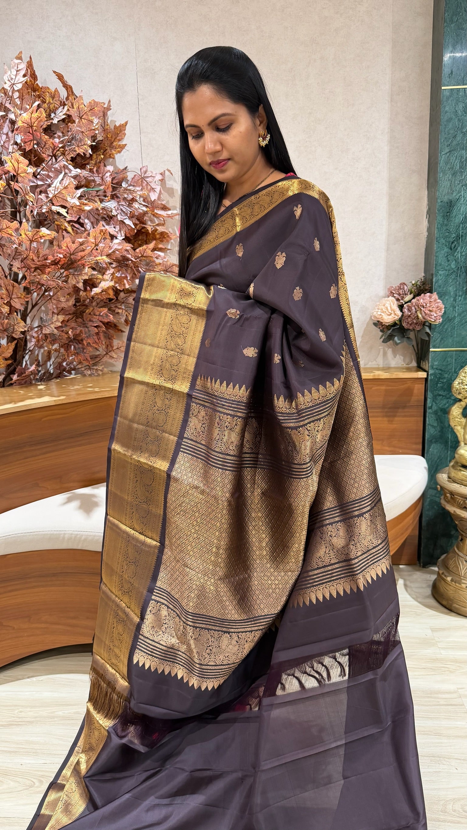 Handloom kanchi pattu
