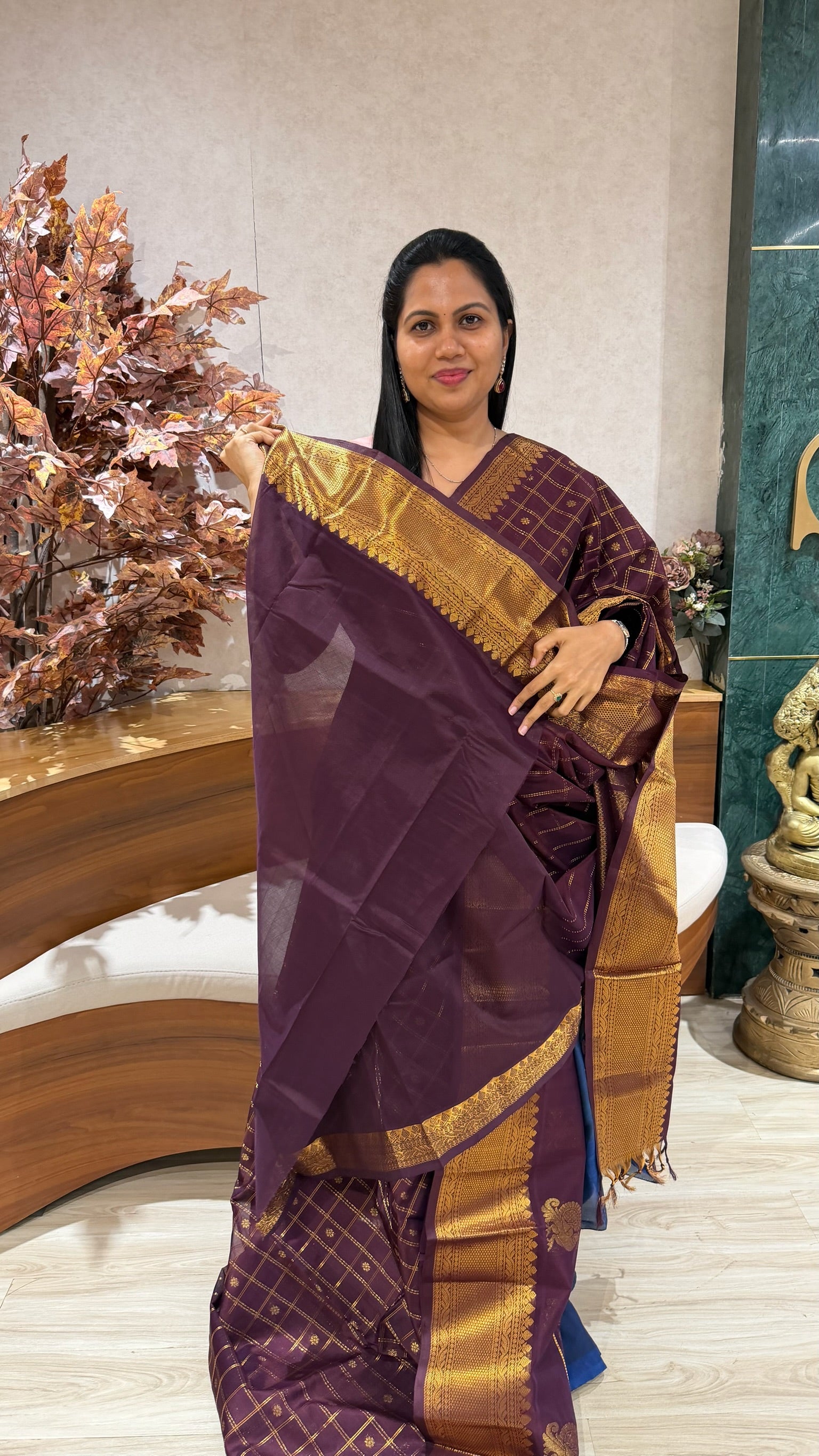 Handloom mangalgiri pattu