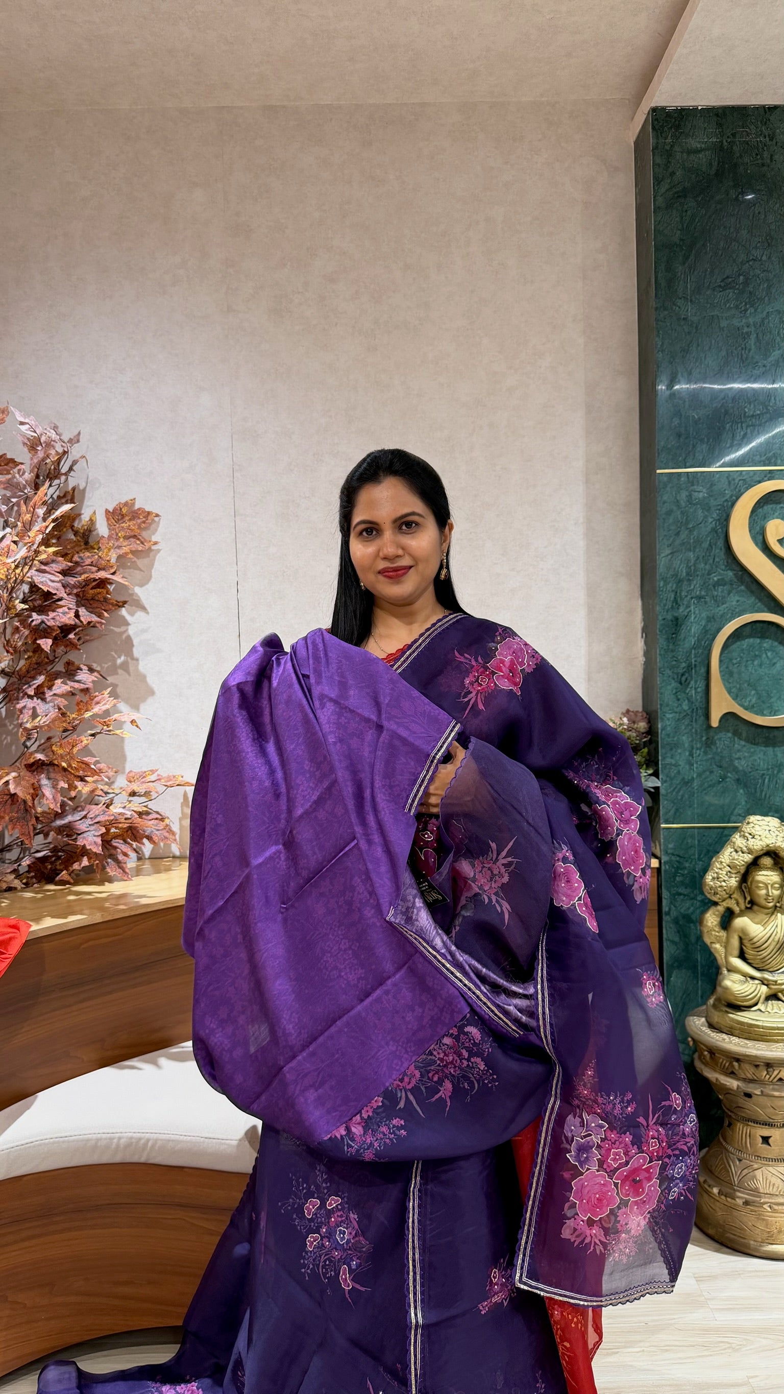 Pure organza work saree