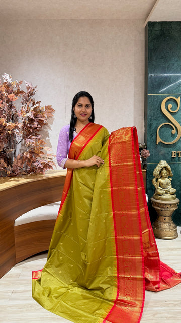 Semi gadwal