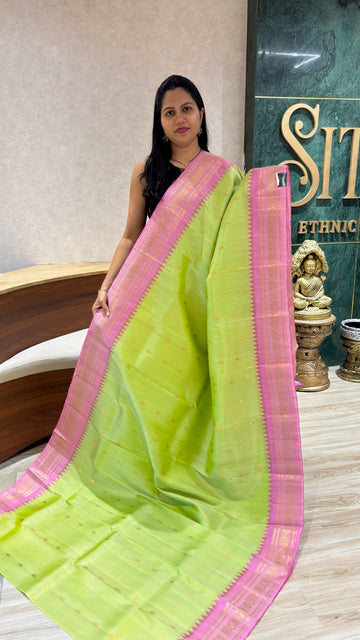 Handloom gadwal pattu