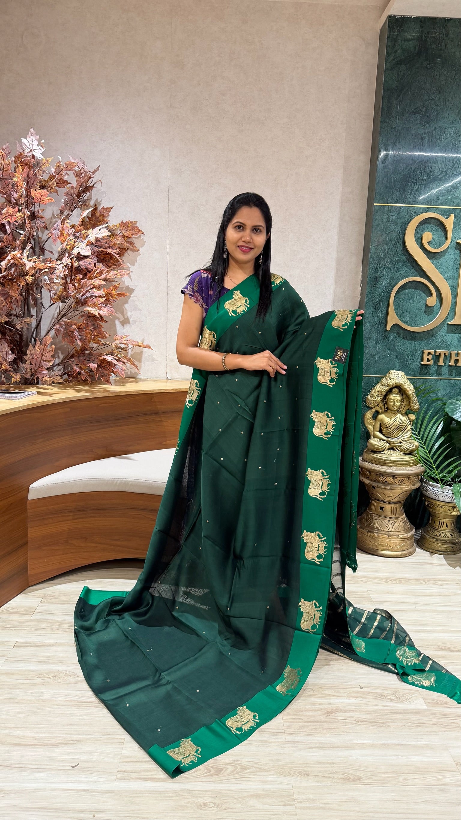 Handloom banaras pattu