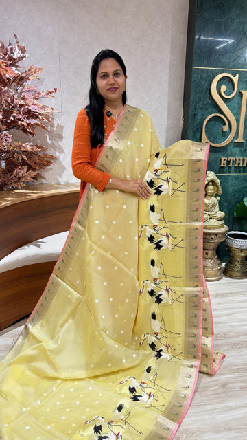Silk kota embroidery