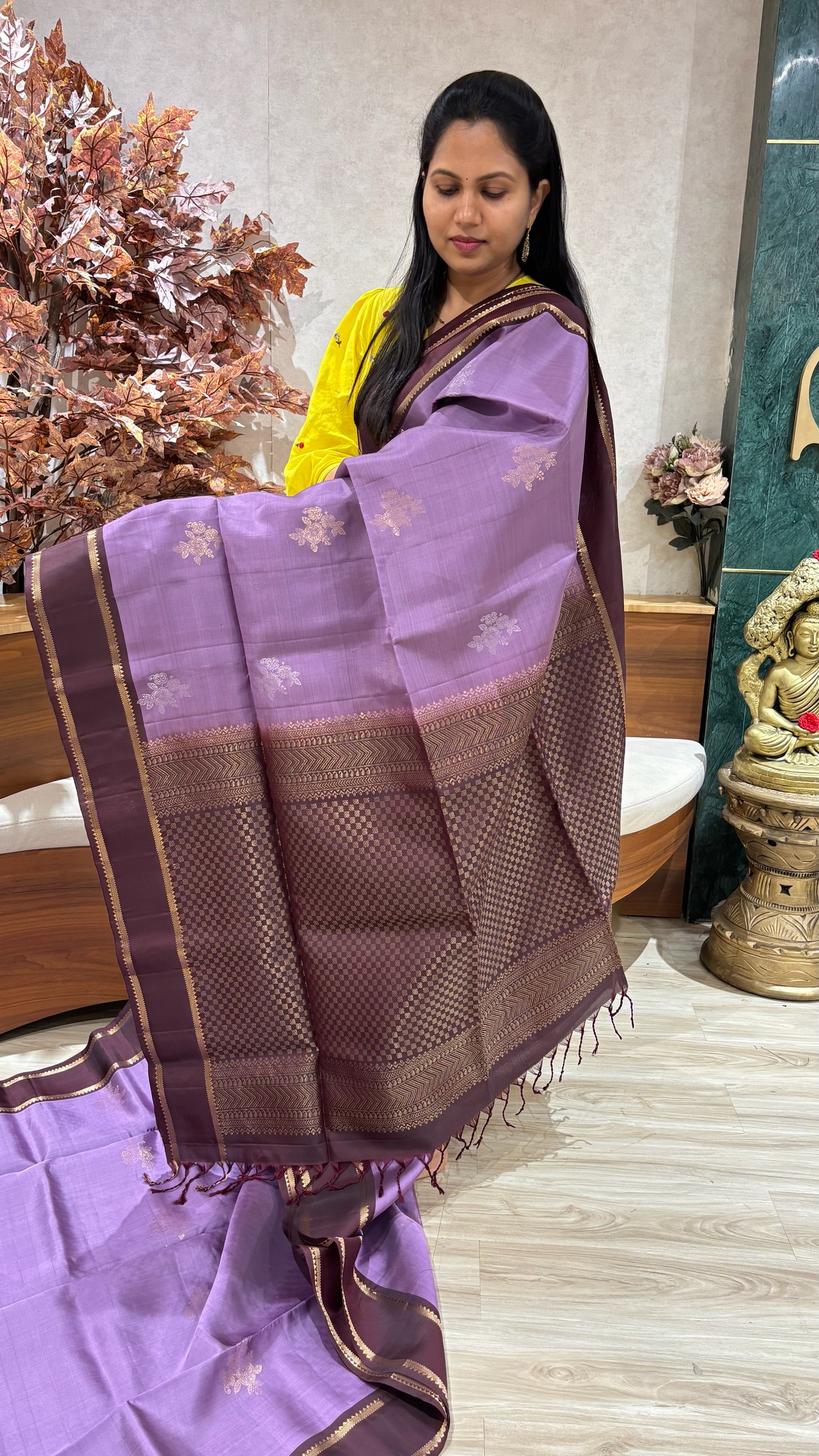 Handloom kanchi pattu