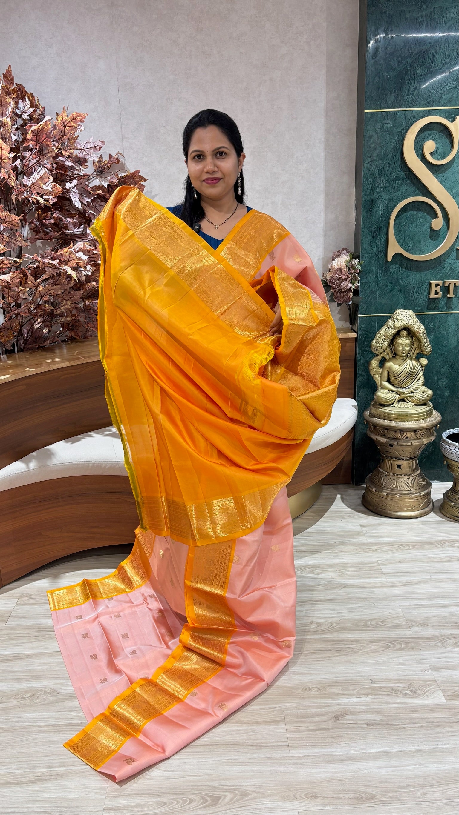 Handloom Kanchi pattu
