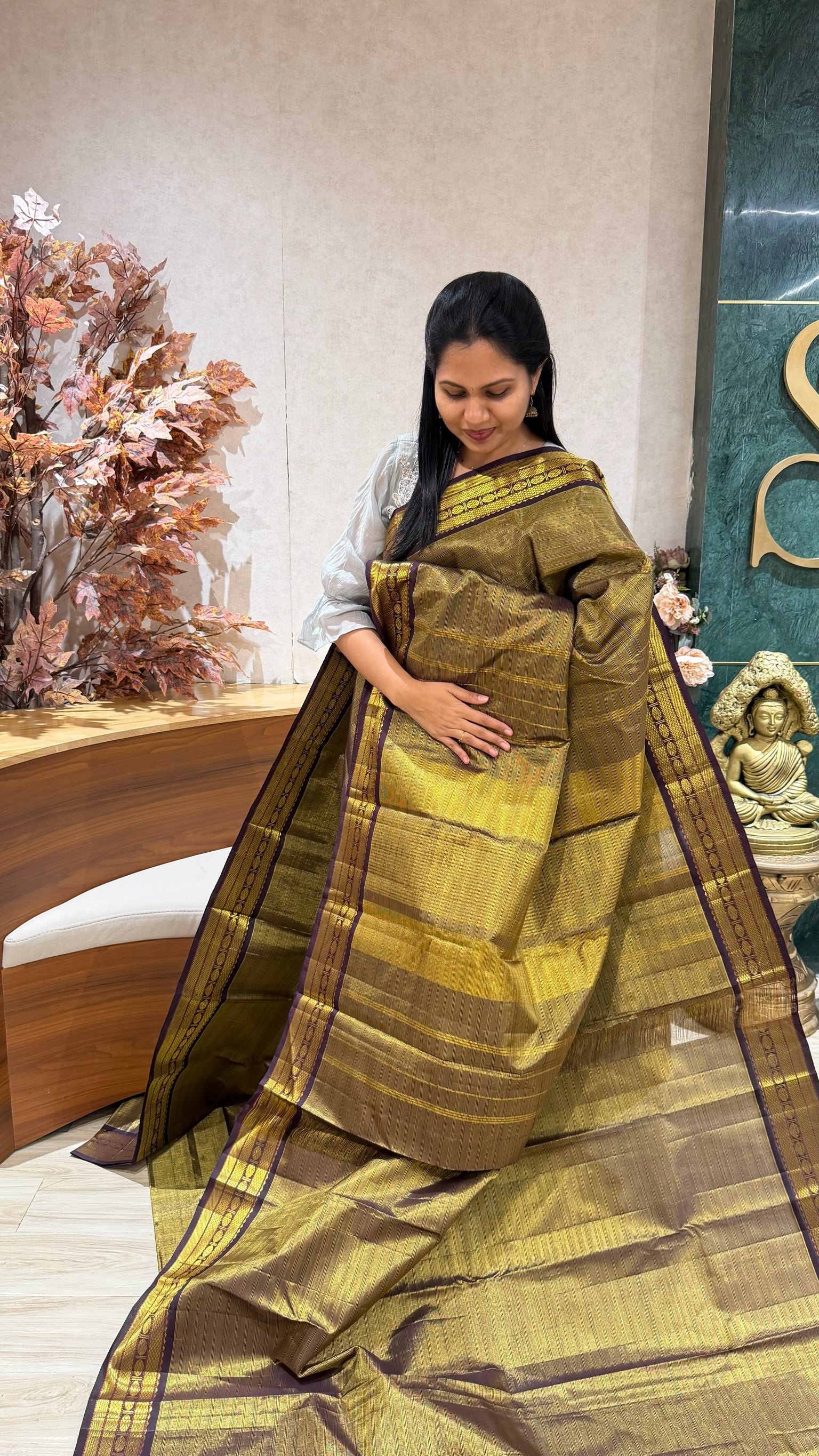 Handloom vintage Kanchipattu