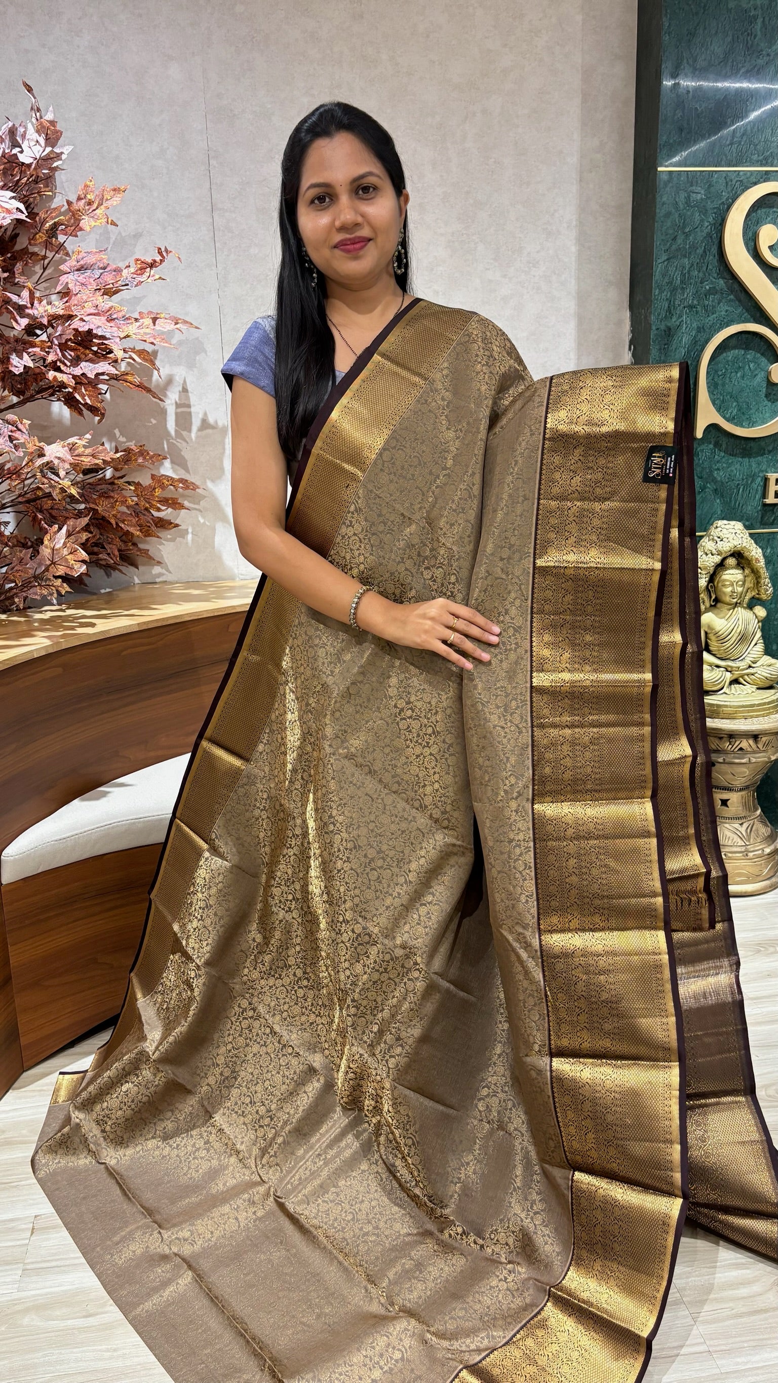Kanchi pattu allover