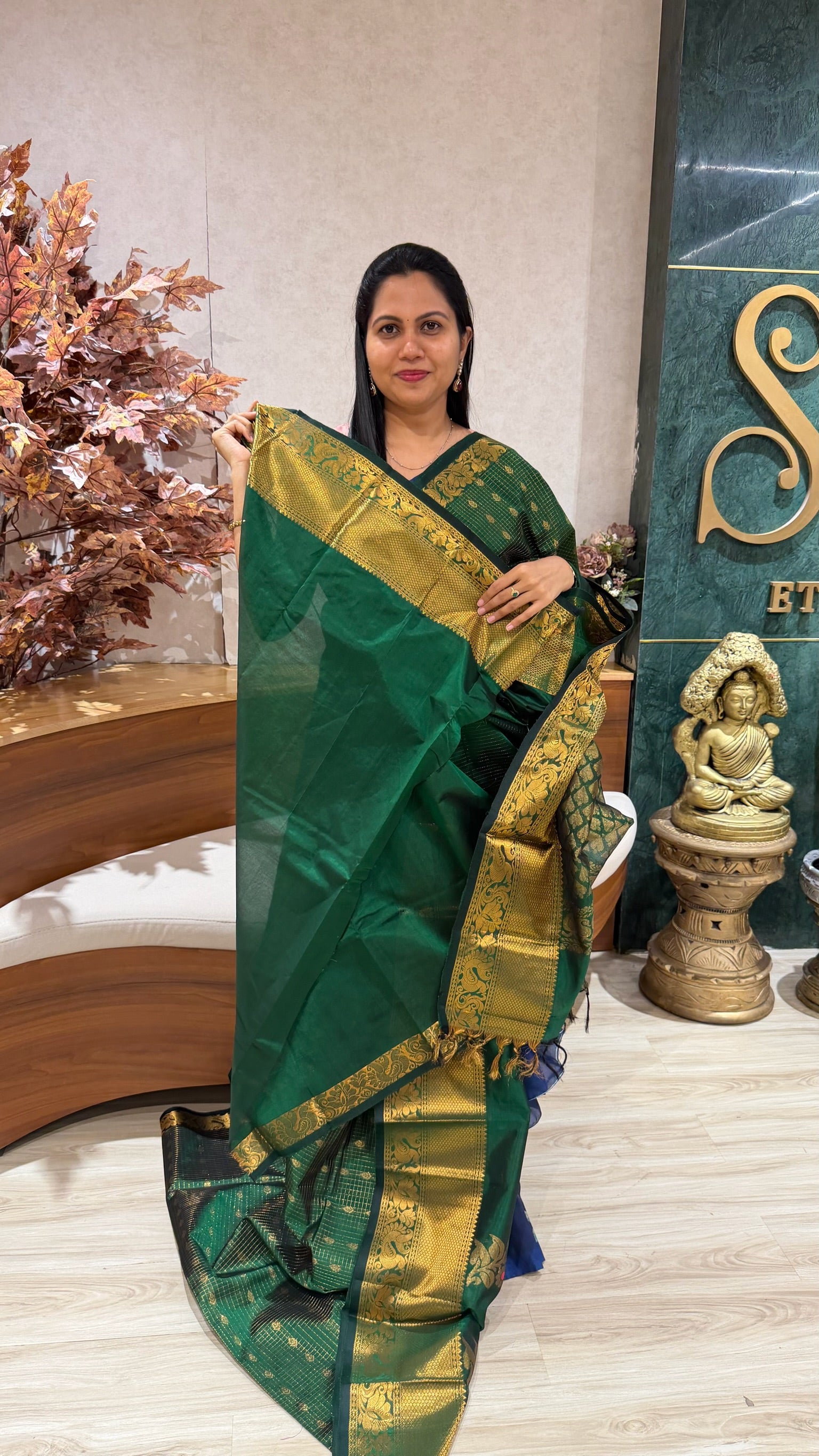 Handloom mangalgiri pattu