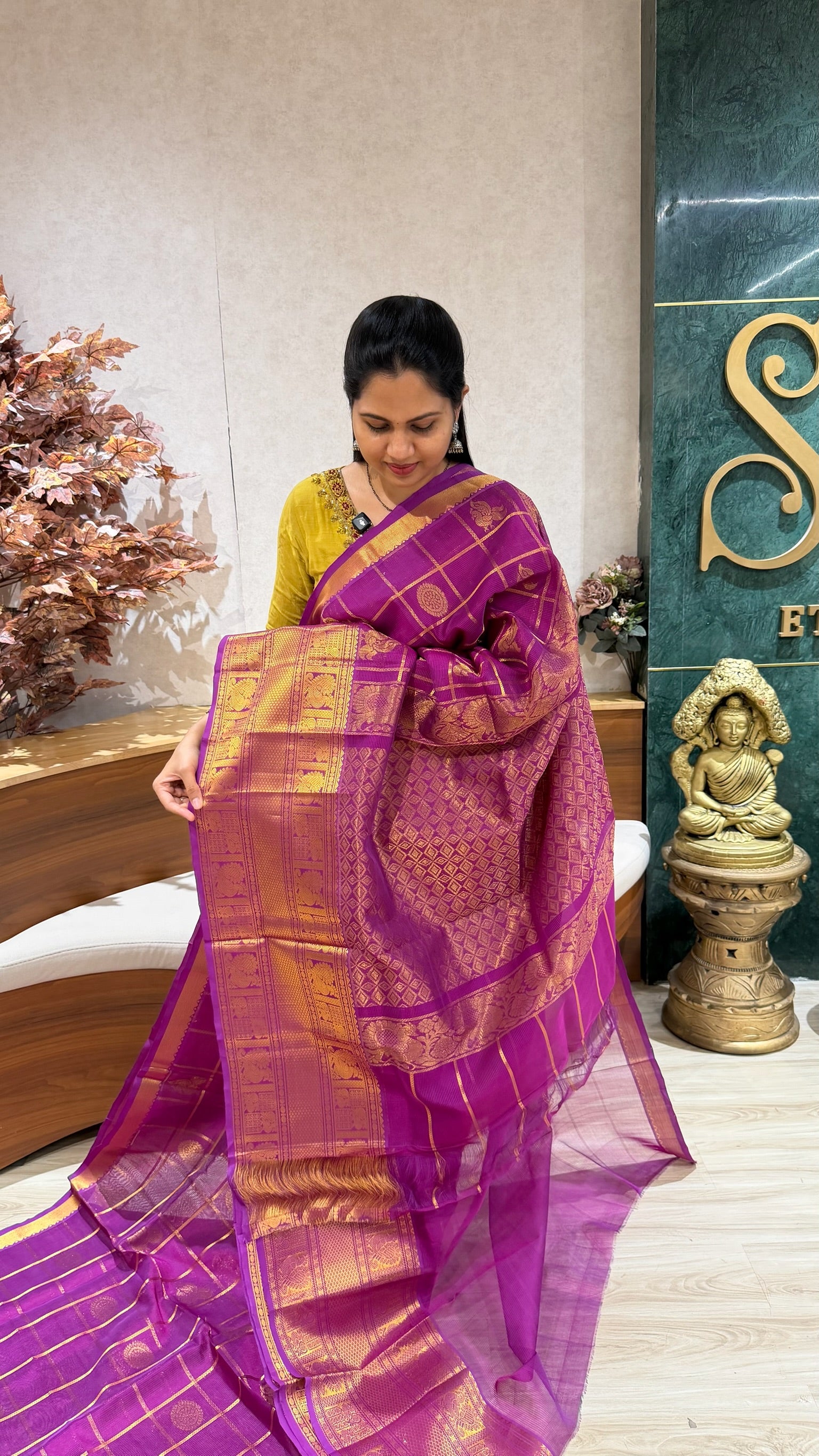 Handloom mangalgiri pattu