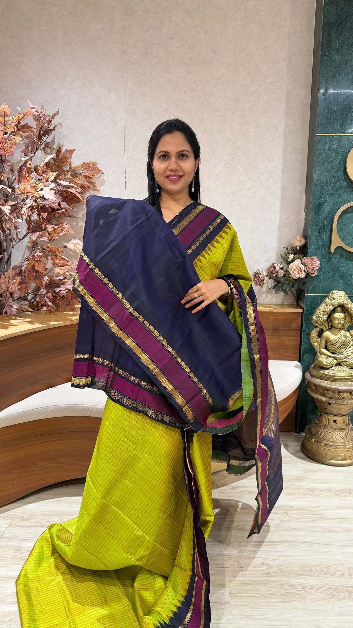 Handloom Gadwal Pattu
