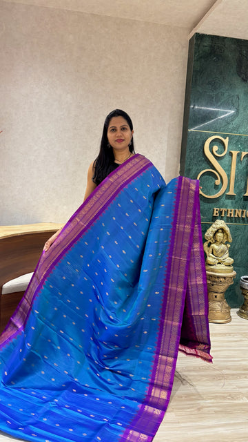 Handloom Gadwal pattu blue