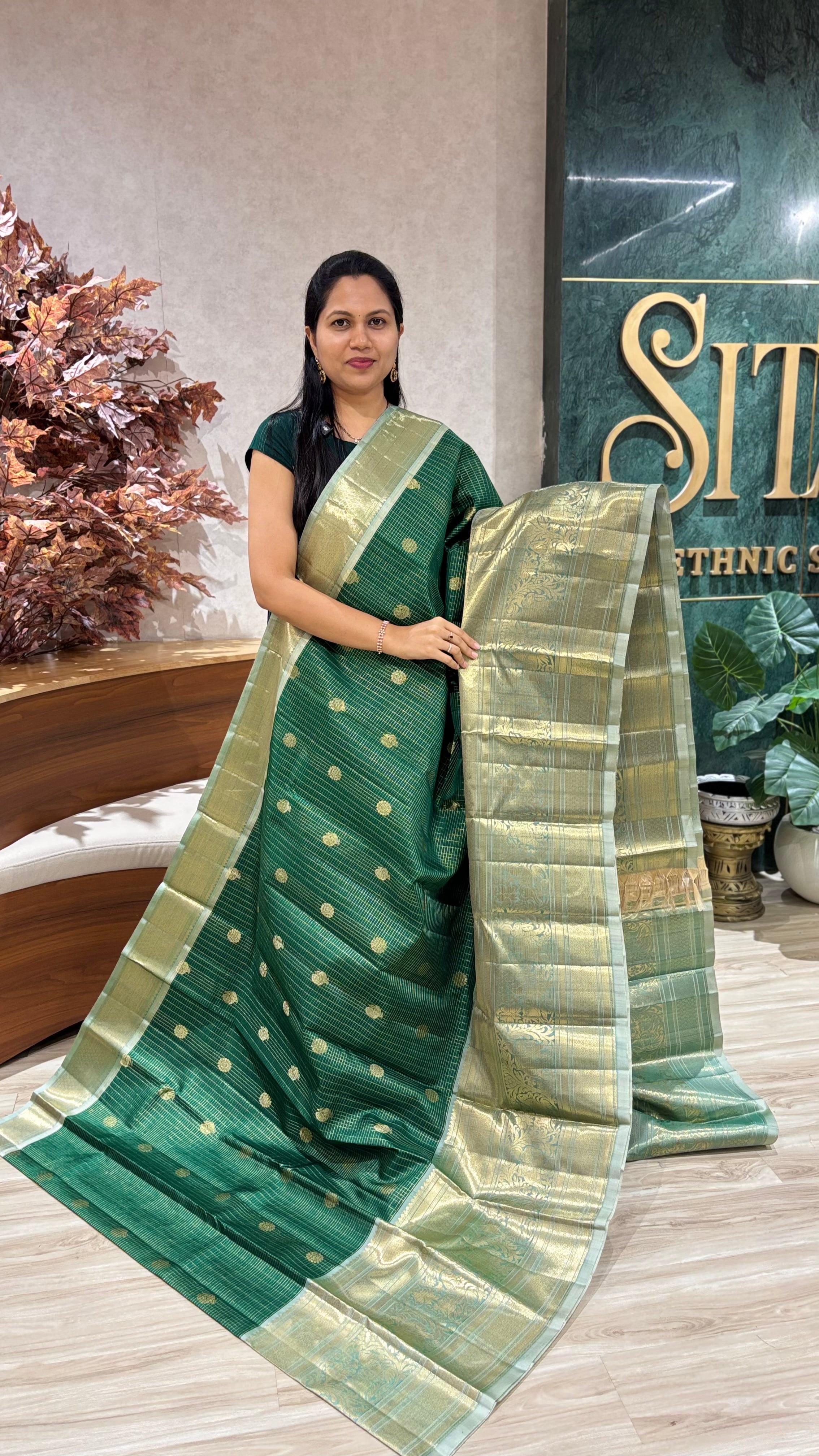 Handloom kanchi pattu