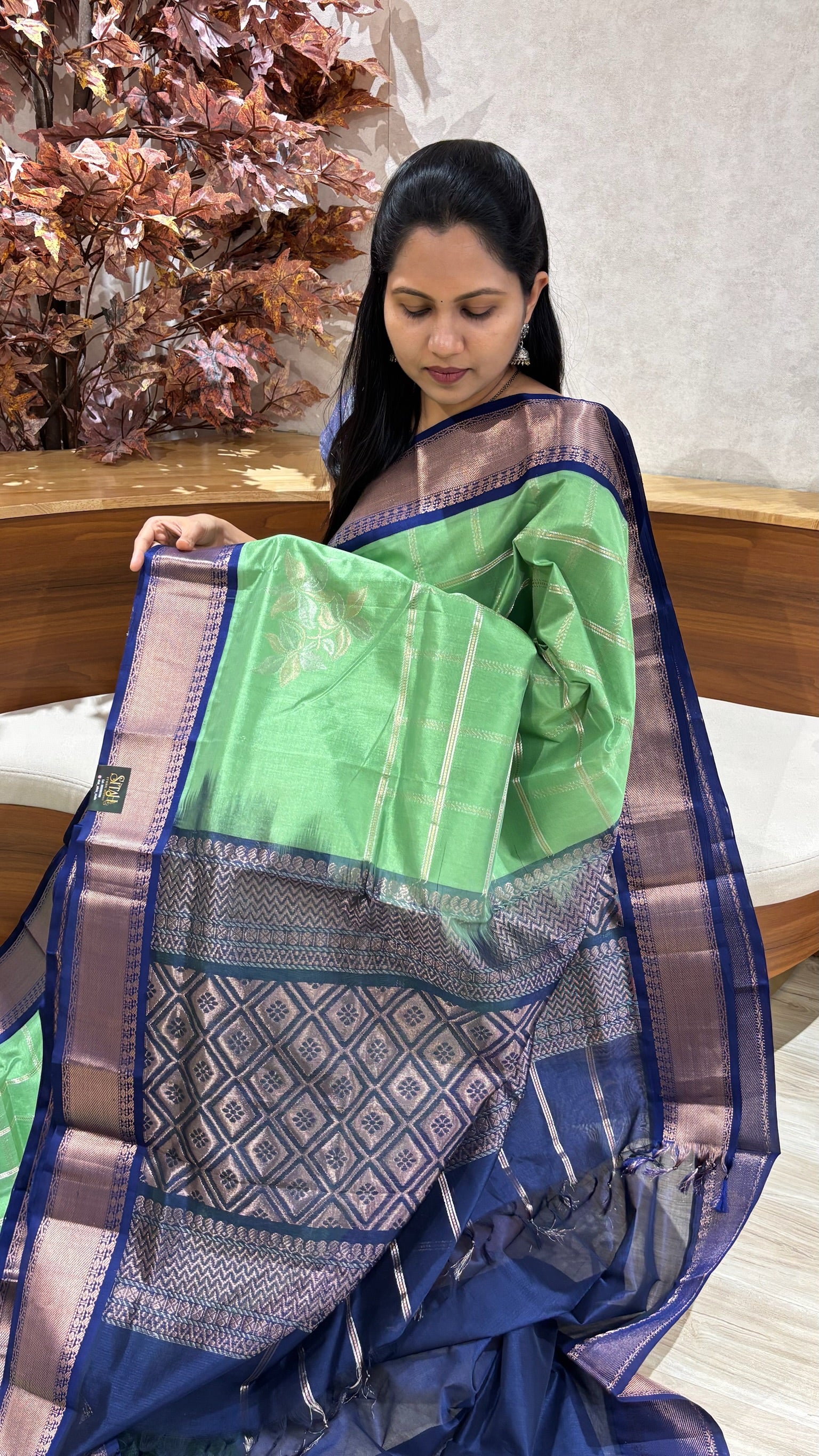 Handloom mangalgiri pattu