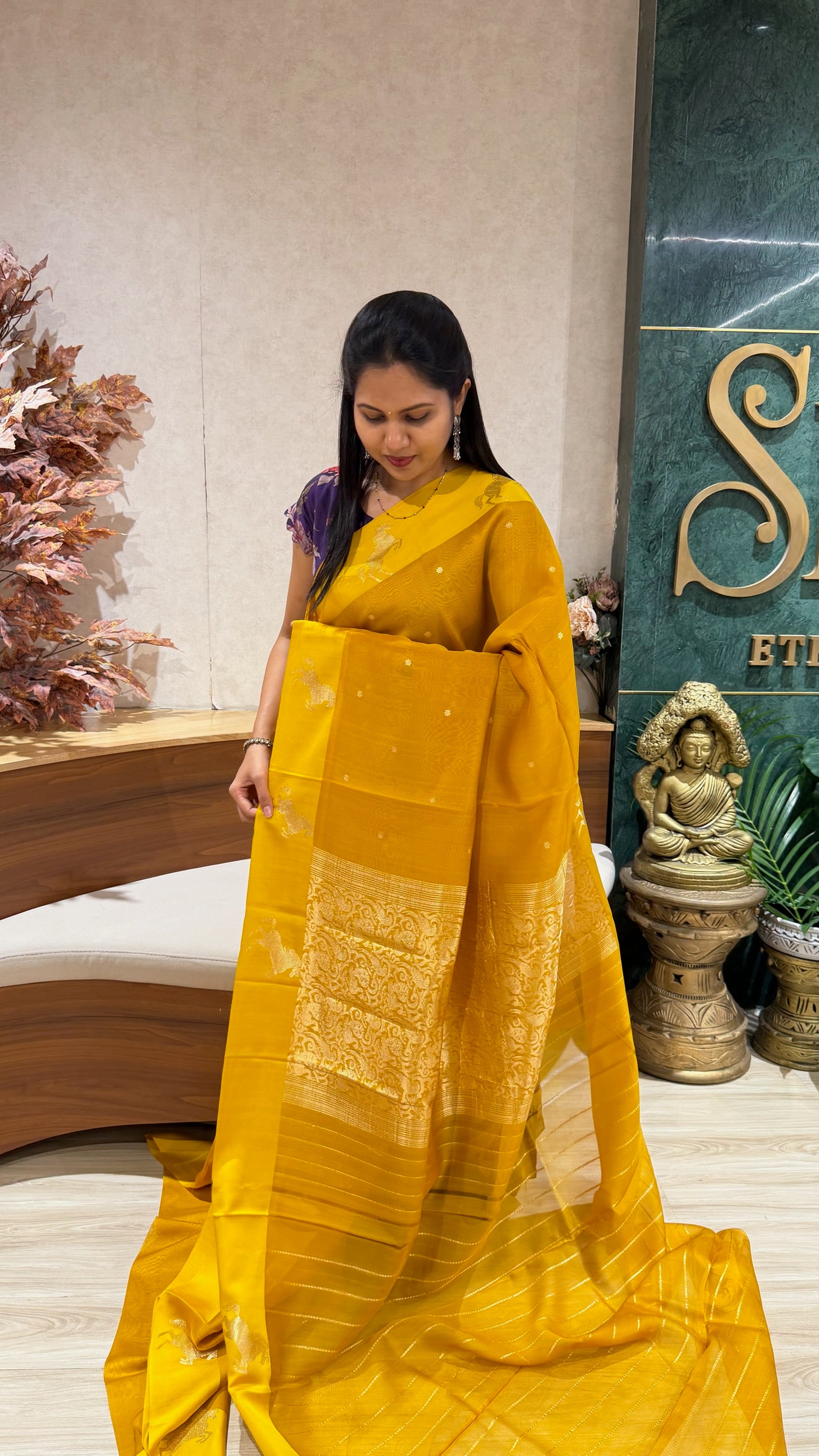 Handloom banaras pattu