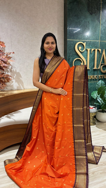Semi gadwal