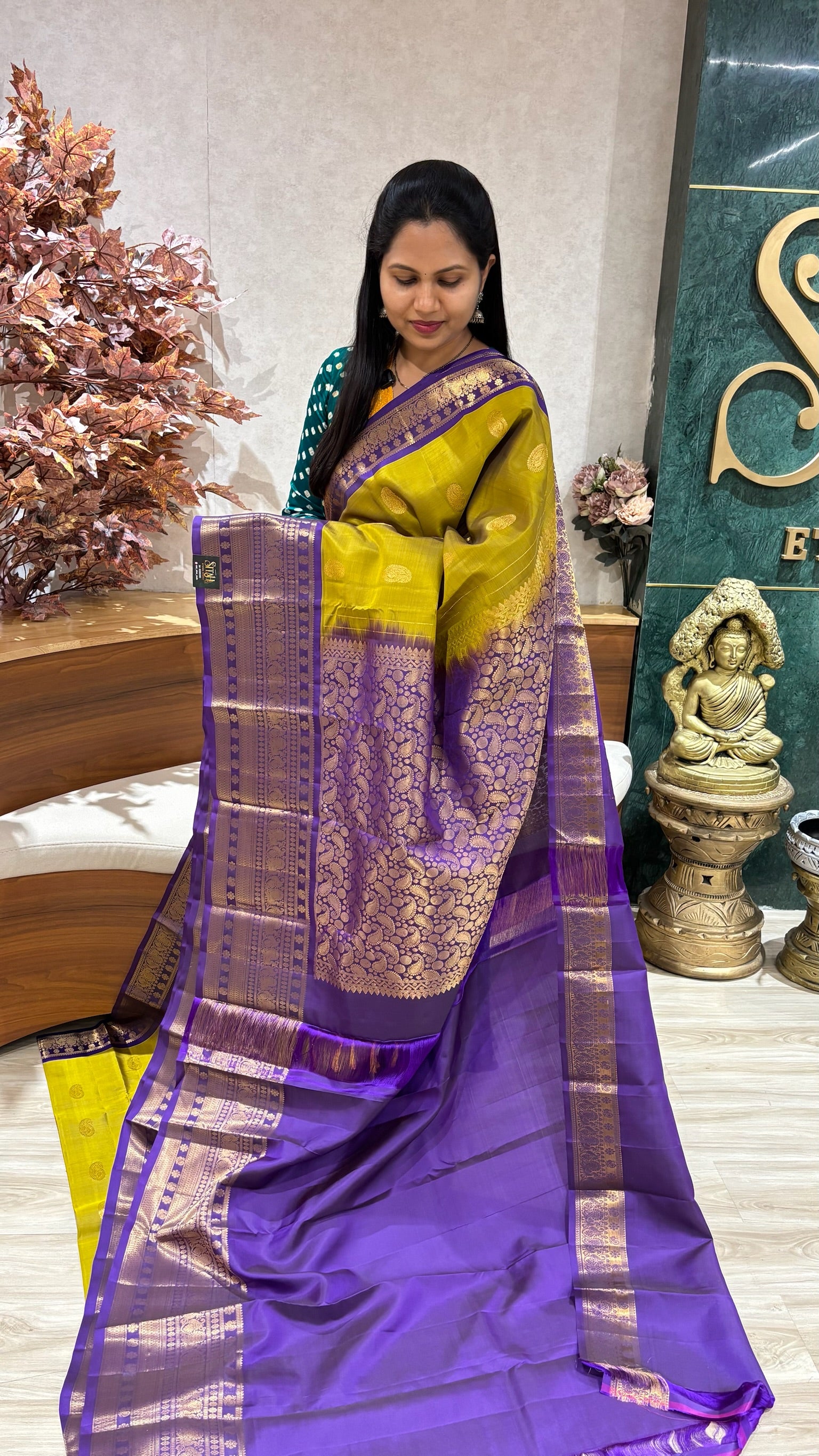 Lightweight Handloom Kanchi pattu