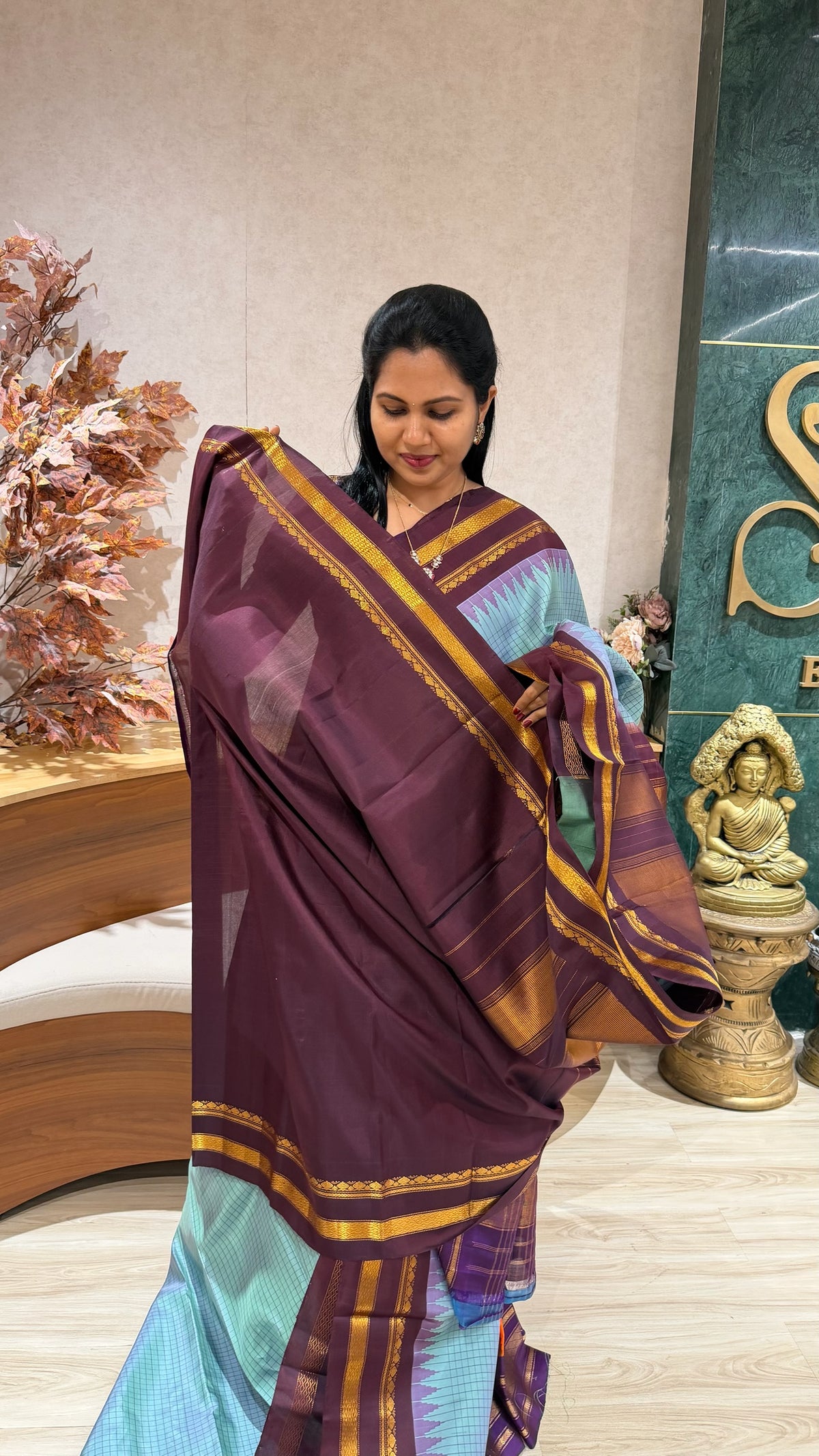 Handloom gadwal pattu