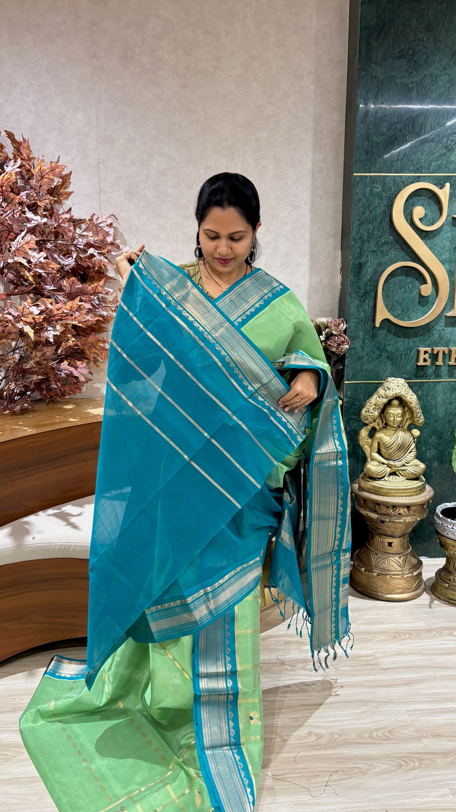 Handloom mangalgiri pattu