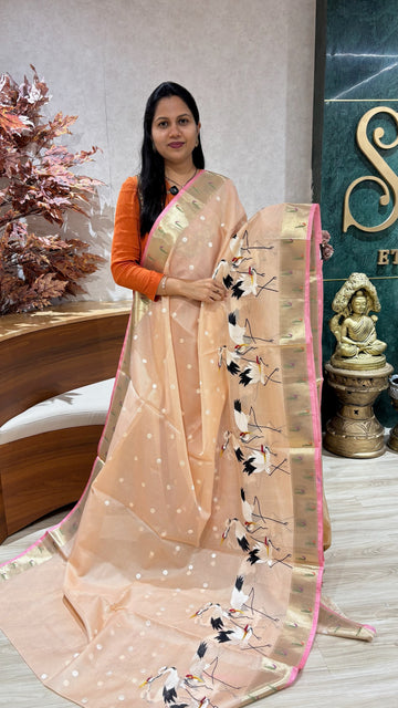 Silk kota embroidery