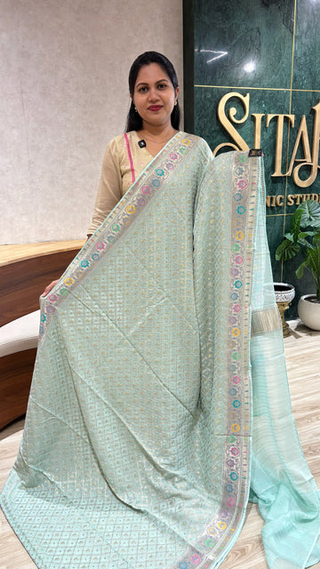 Georgette Banaras Paithani