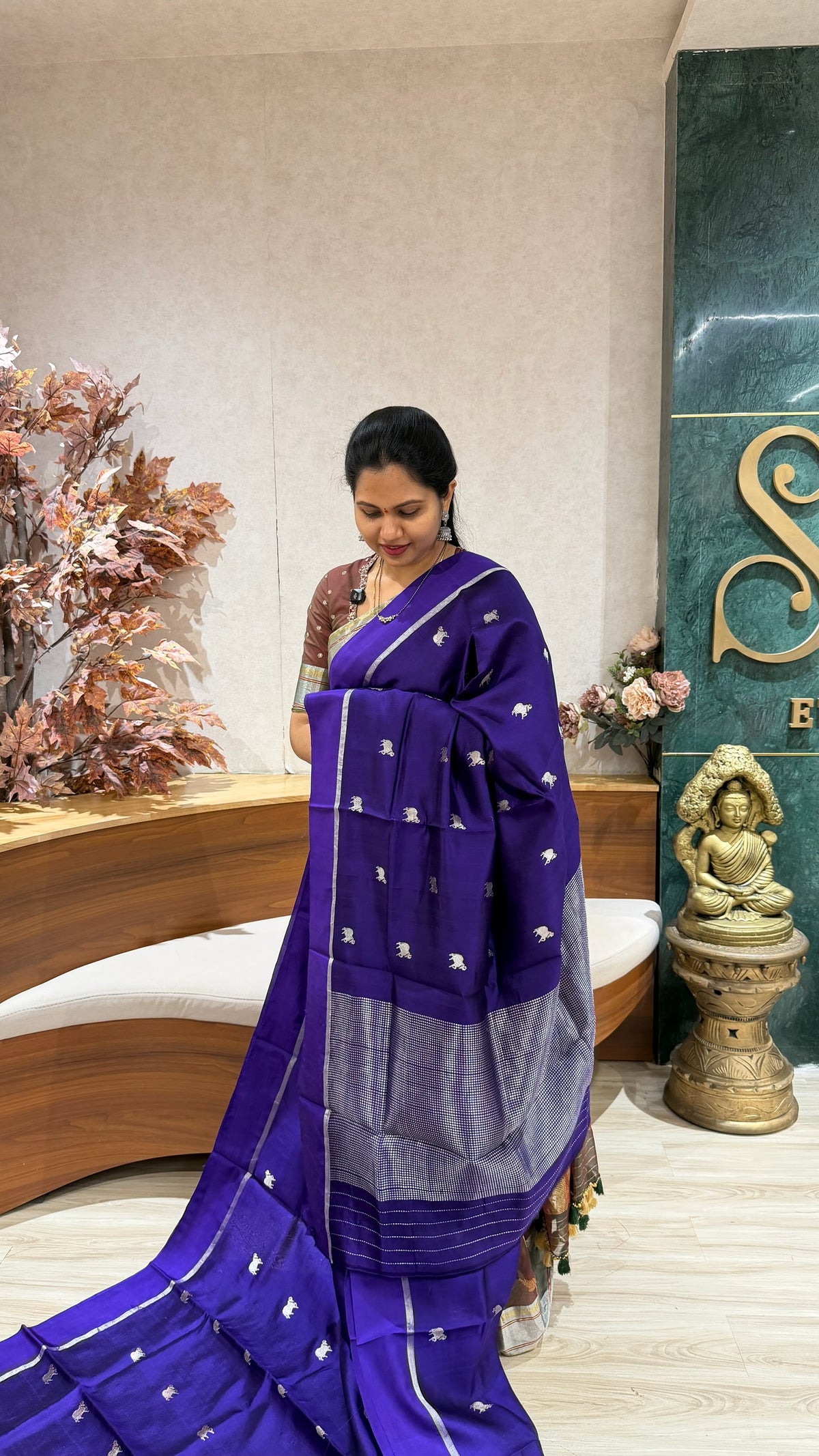 Handloom Chanderi