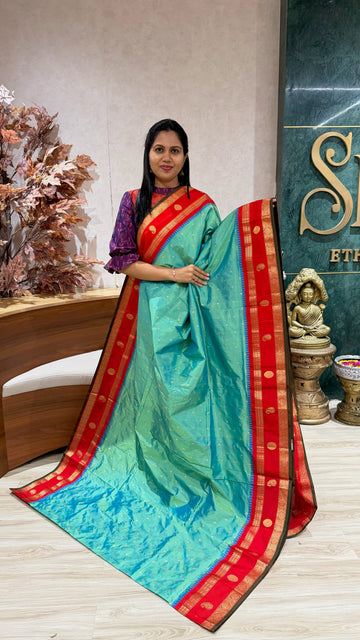 Pure Narayanpet pattu