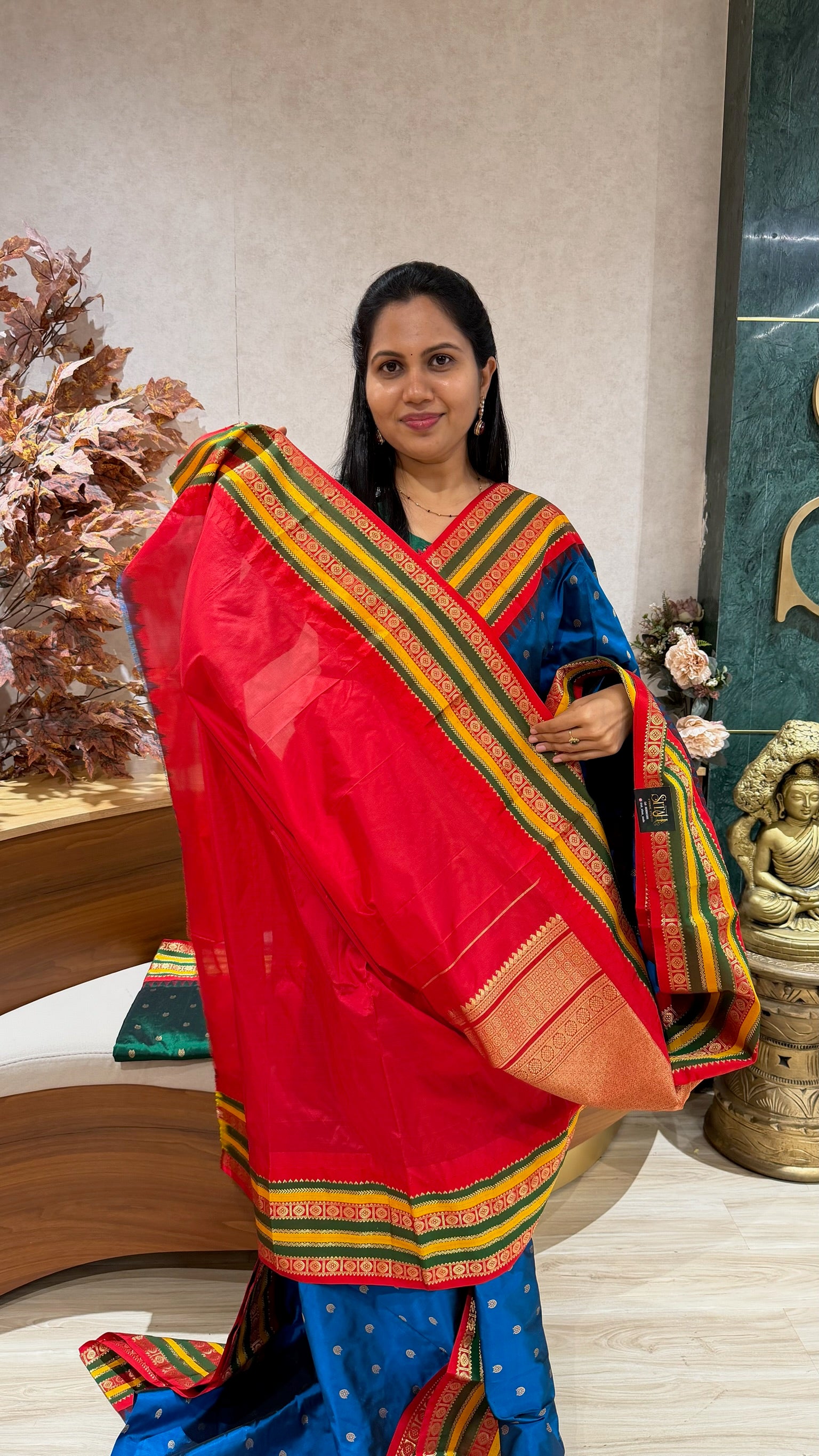 Pure Narayanpet pattu