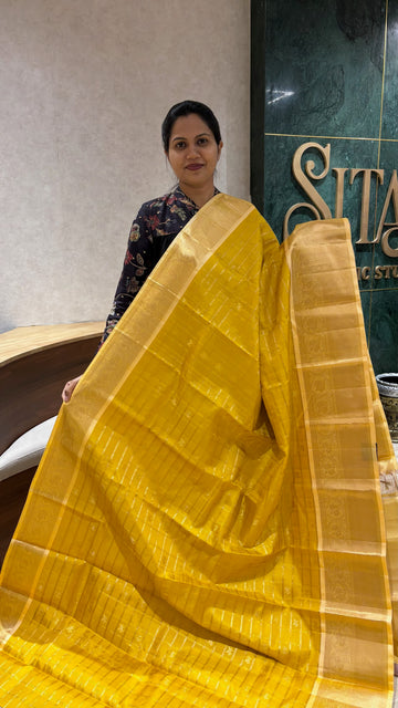 Handloom kanchi pattu
