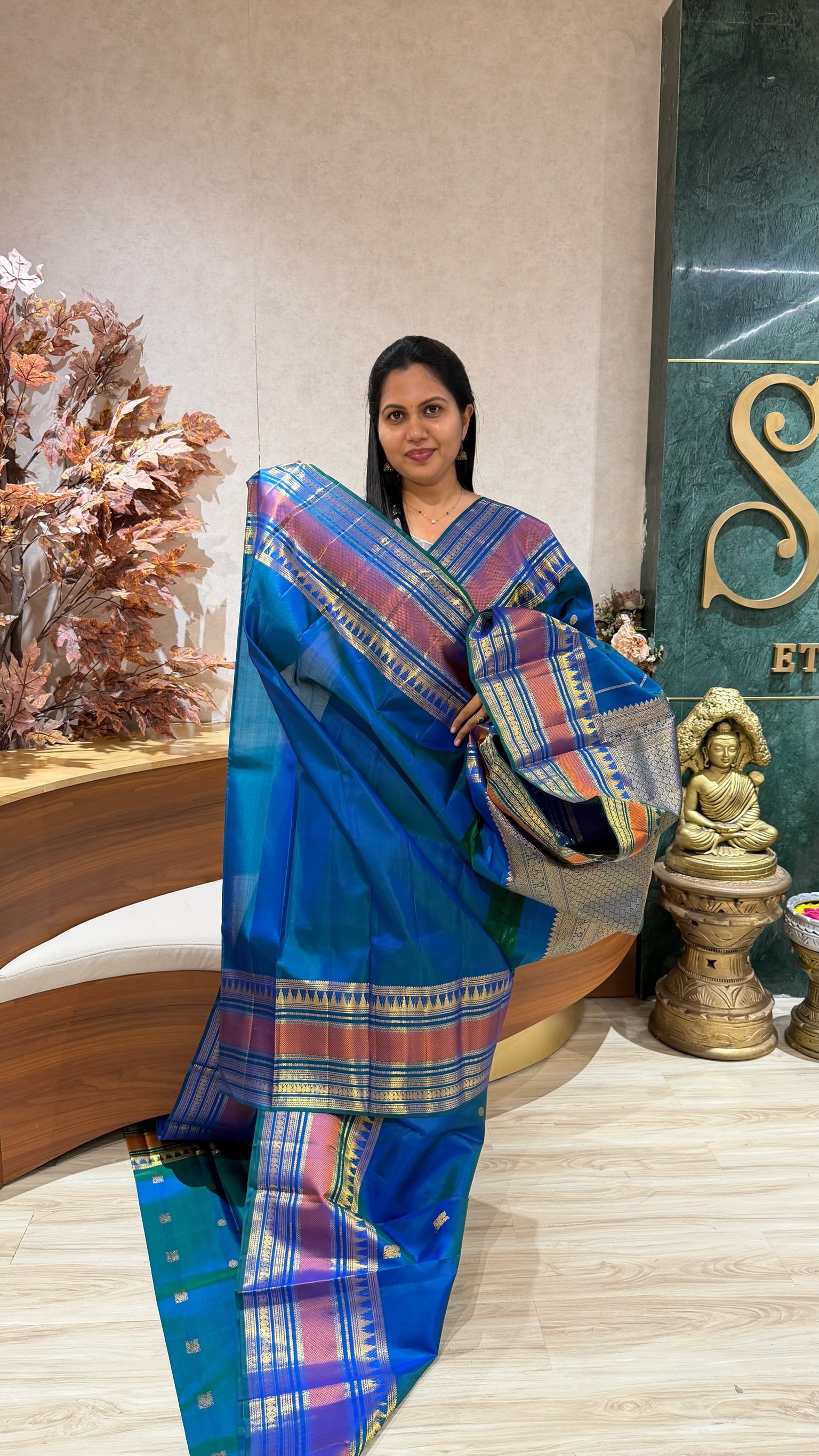 Handloom vintage Kanchipattu