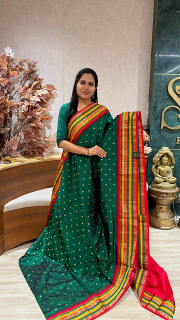 Pure Narayanpet pattu