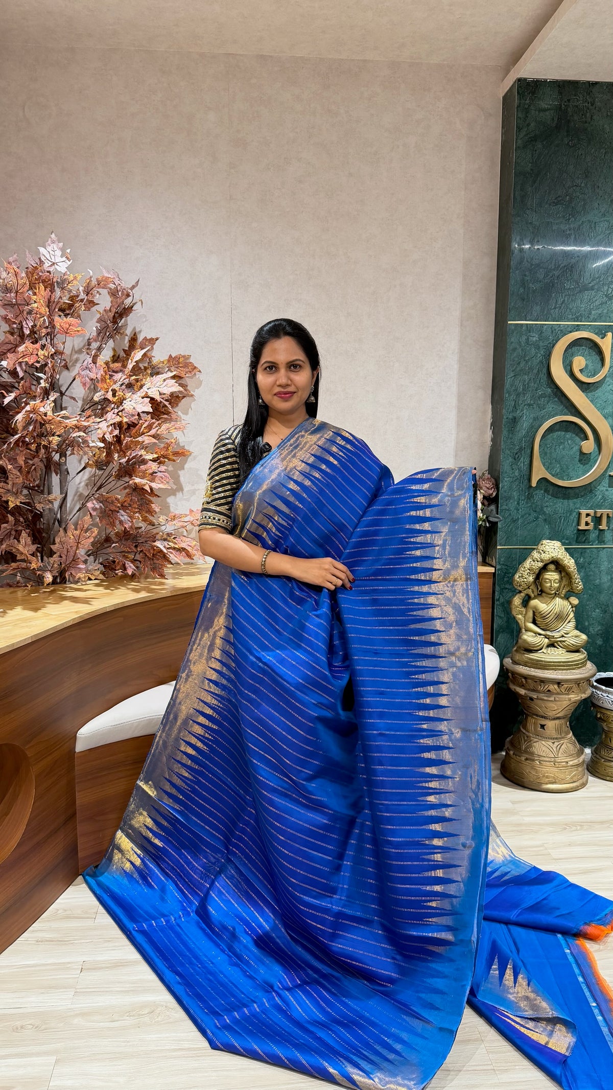Handloom Gadwal tissue border