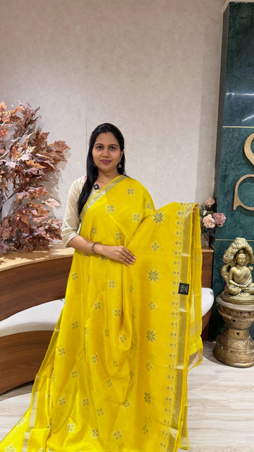 Mangalgiri kutch work saree